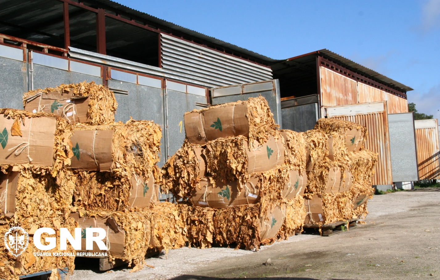 zimbabwe tobacco auction floors 18% drop in tobacco deliveries at auction floors