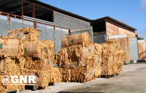 Apreensão folhas tabaco